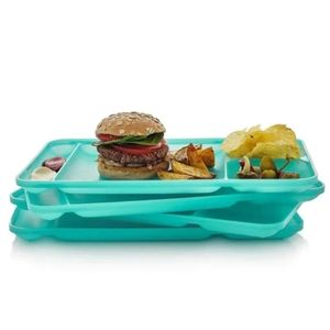 New Tupperware.  4 pc set Divided Trays.